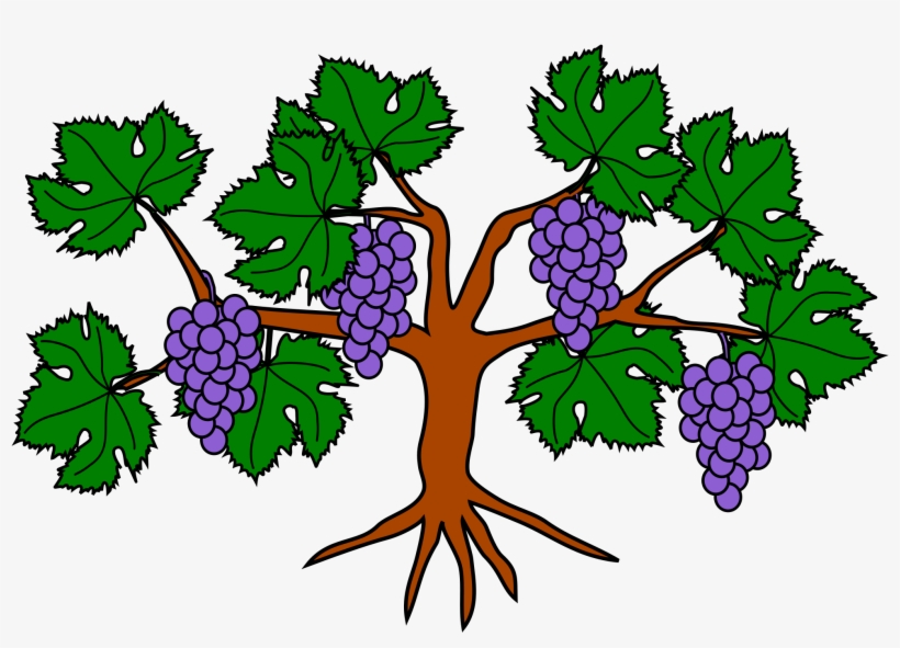 Open - Heraldic Grapes Png, transparent png #724792