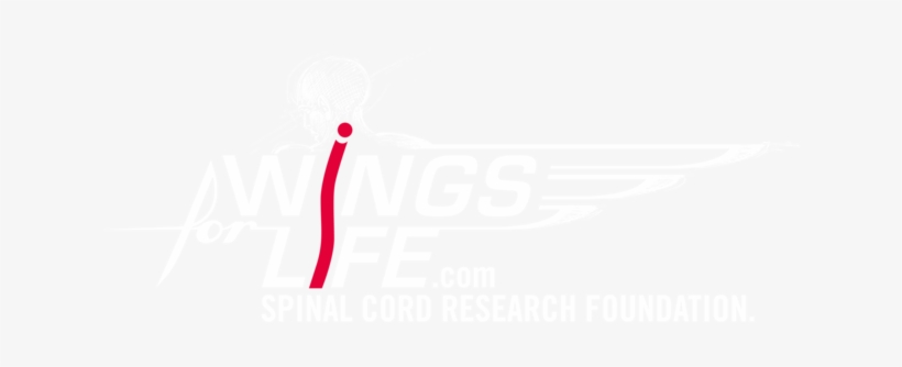 We Support - Illustration, transparent png #724973