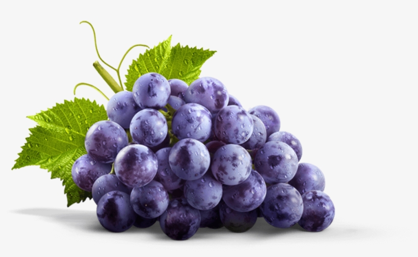 The Mighty Concord - Welch's Refreshingly Simple Concord Grape Juice - 59, transparent png #725056