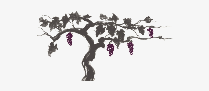 Our Wines - Hangtime Pinot Noir, transparent png #725138