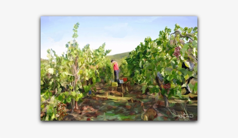 Canvas, Poster, Frame, Brush Effect, Art Paintings - Painting, transparent png #725177