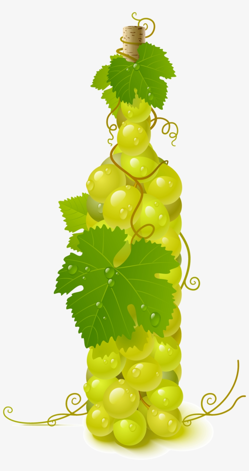 Grapevine Clipart Pattern - Grapes Vector, transparent png #725212