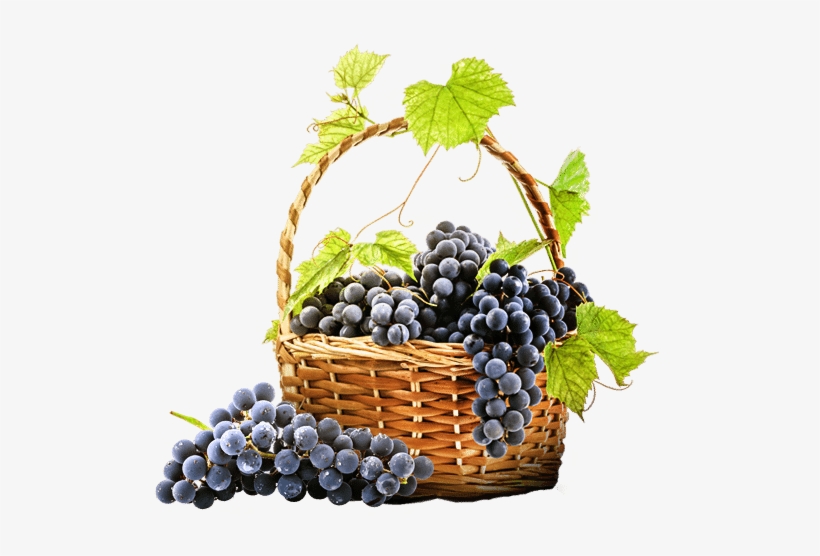 Red Wine Grapes In Basket - Xmifer Pjlw0101 400 Micron Stainless Steel Home Brewing, transparent png #725725