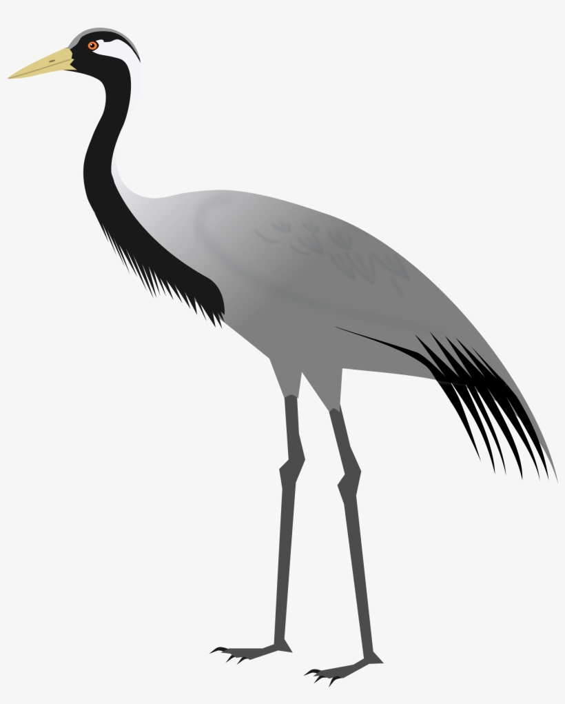 Birds Transparent Crane - Demoiselle Crane, transparent png #726365