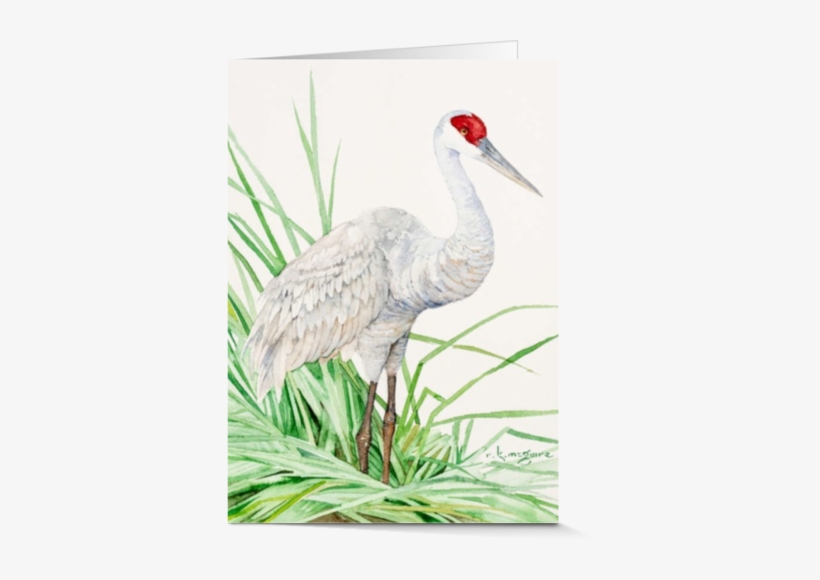 Artist Cards - Facebook, transparent png #726780