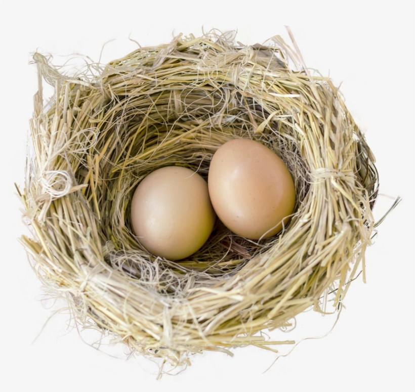 Free Png Bird Nest Png Images Transparent - Nest With Bird No Background, transparent png #727002
