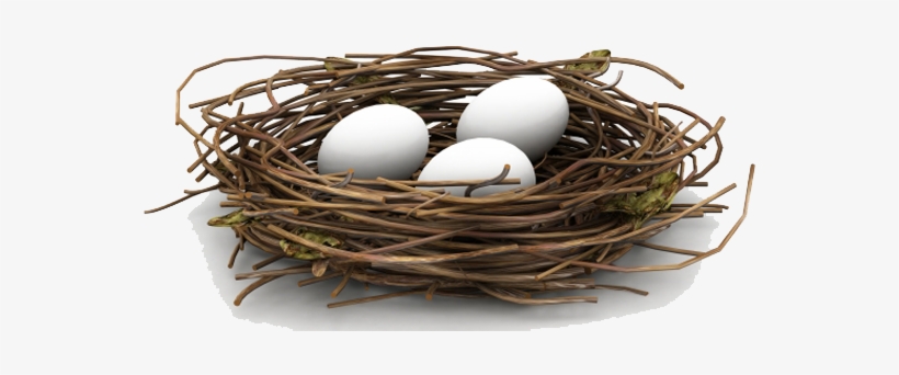 Nest Png Hd - Nest Png, transparent png #727022