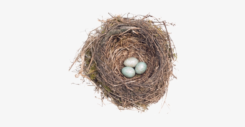 Nest Png - Egg, transparent png #727219