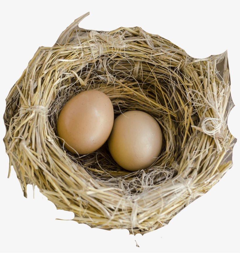 Ein Nest Für Zwei: Gay Romance [book], transparent png #727262