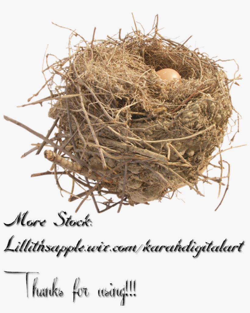 Nest Free Png Image - Stock Photography, transparent png #727369