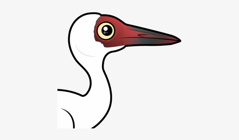 Birdorable Siberian Crane - Siberian Crane, transparent png #727412