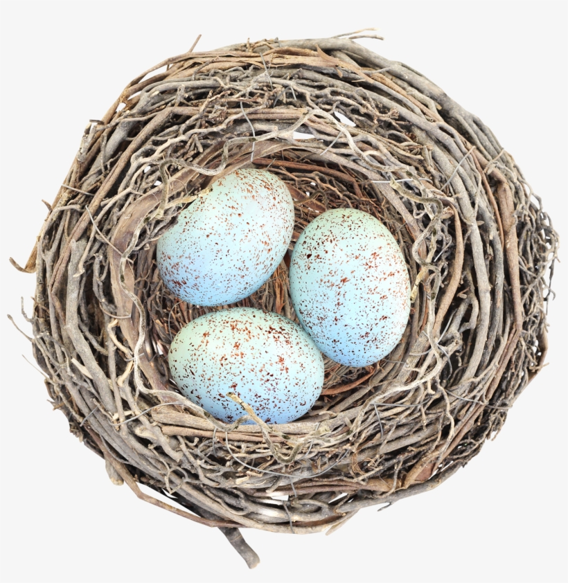 Nest Png, transparent png #727478