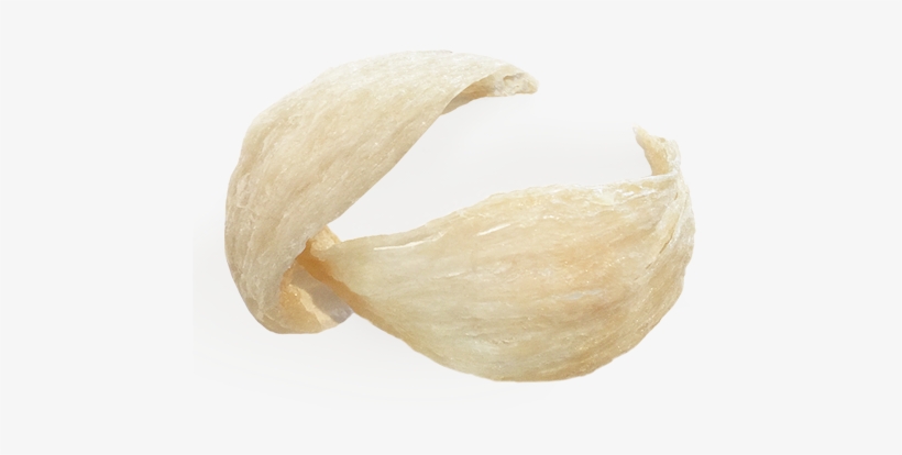 Edible Birds Nest Bowl Shape - Edible Bird's Nest, transparent png #727608