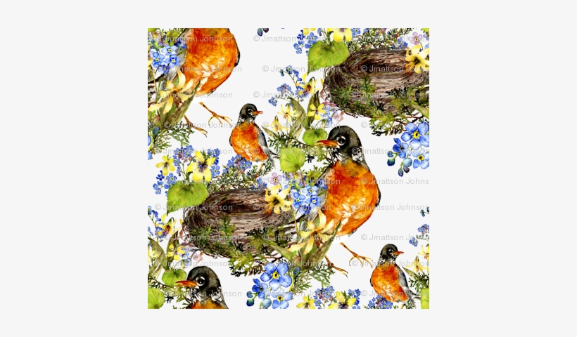 Robin With Nest Watercolor On White - Craft, transparent png #727669