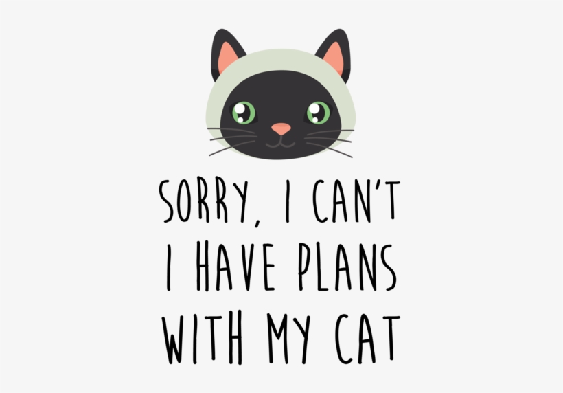 Cant I Have Plans With My Cat, transparent png #728848