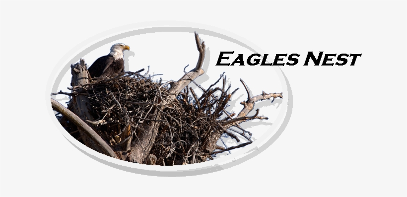 Poker, transparent png #728964