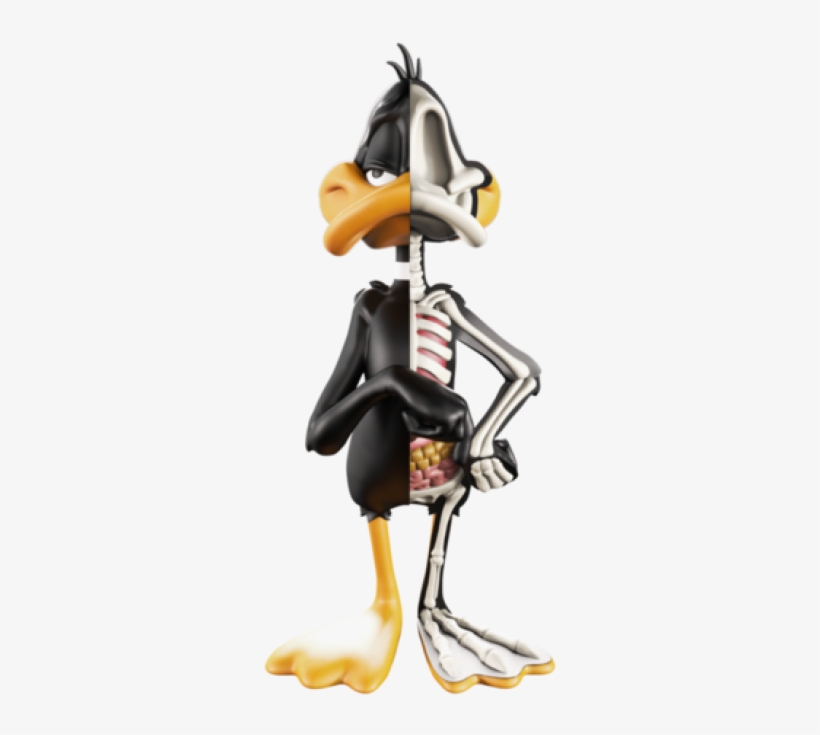 Xxray Looney Tunes, transparent png #729535