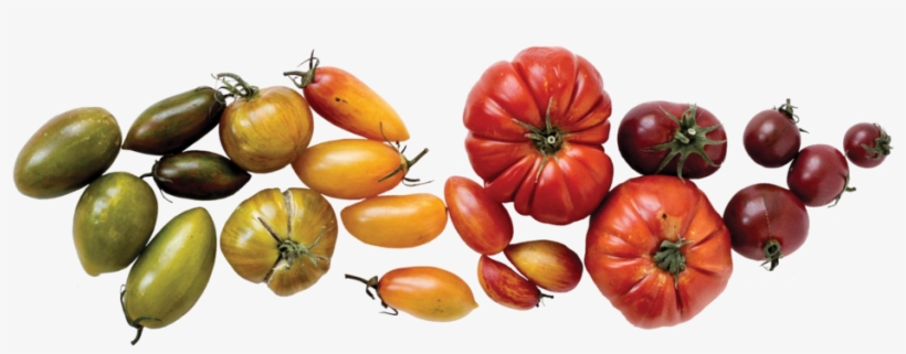 Heirloom Tomato Divider 2, transparent png #7201371