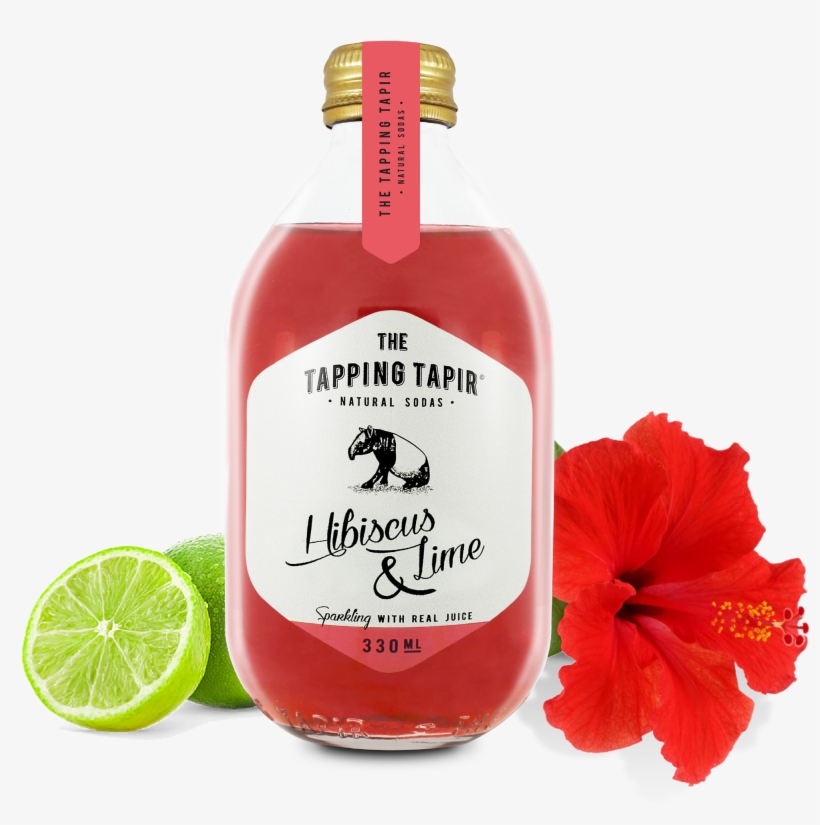 Hibiscus & Lime, transparent png #7202915