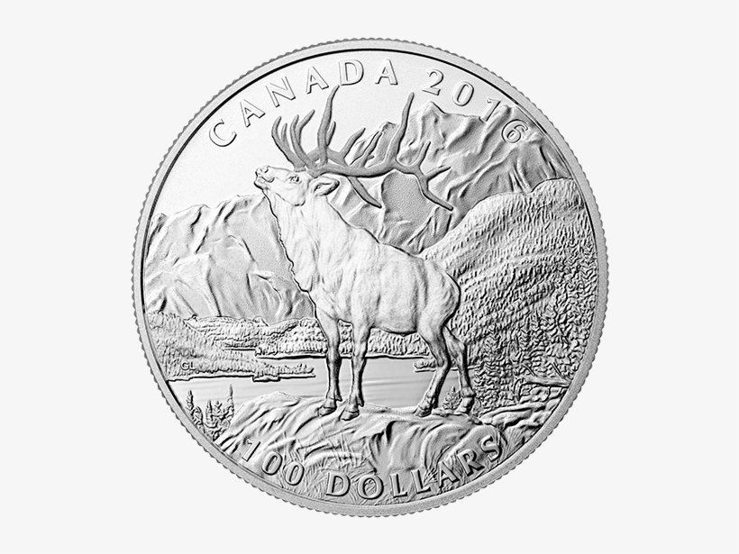 $100 Fine Silver Coin, transparent png #7208674