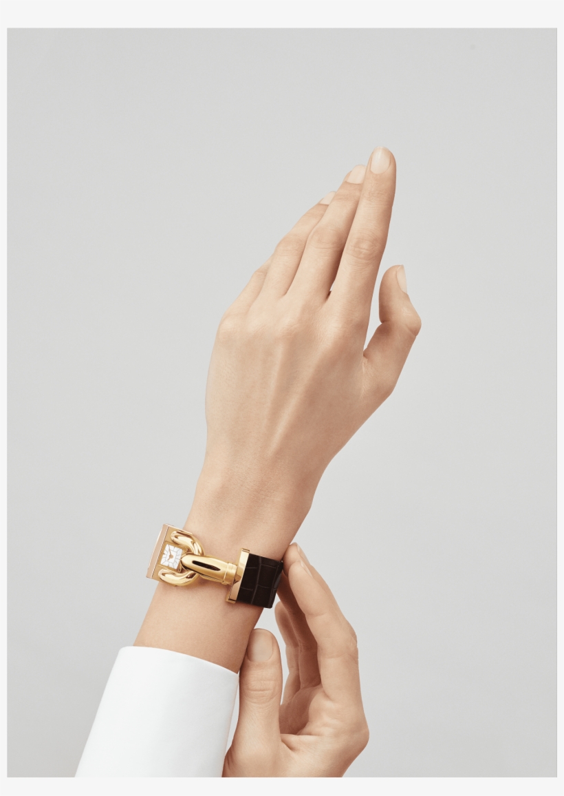 Cadenas Watch,satin Finish Alligator, Square Scale, transparent png #7209136