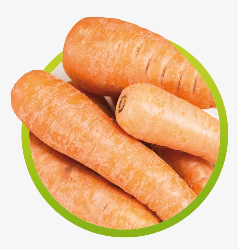 Zanahoria, transparent png #7214977