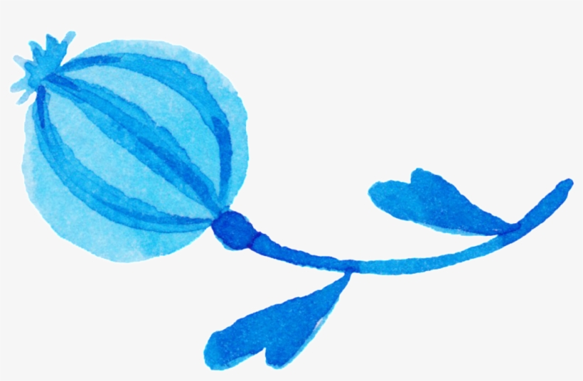 Amapola Ornamental Pinceles Pintura Png, transparent png #7216830