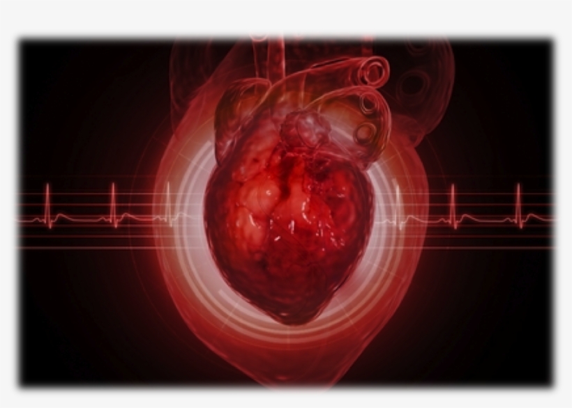 Brosschot, Jos F, transparent png #7217668