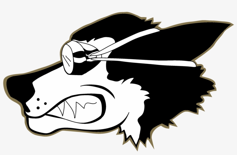 Husky Clipart Washington University, transparent png #7220842