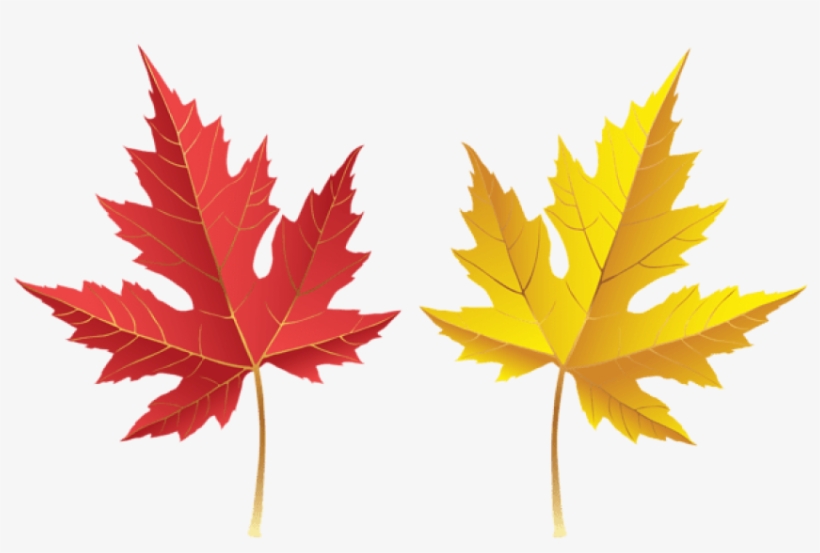 Free Png Fall Leves Png Images Transparent, transparent png #7221670