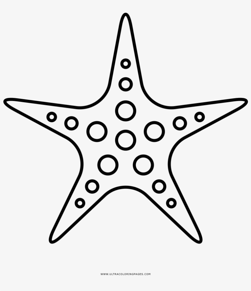 Banner Black And White Download Starfish Clip Art Transprent Free Transparent Png Download Pngkey
