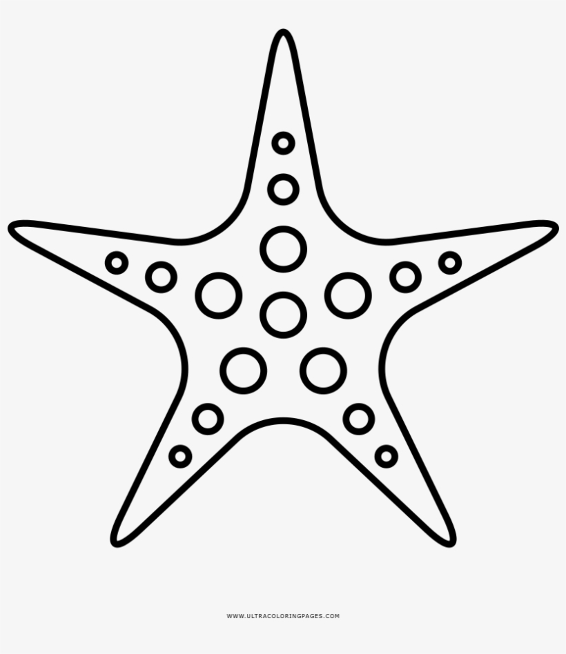 Banner Black And White Download Starfish Clip Art Transprent, transparent png #7221735