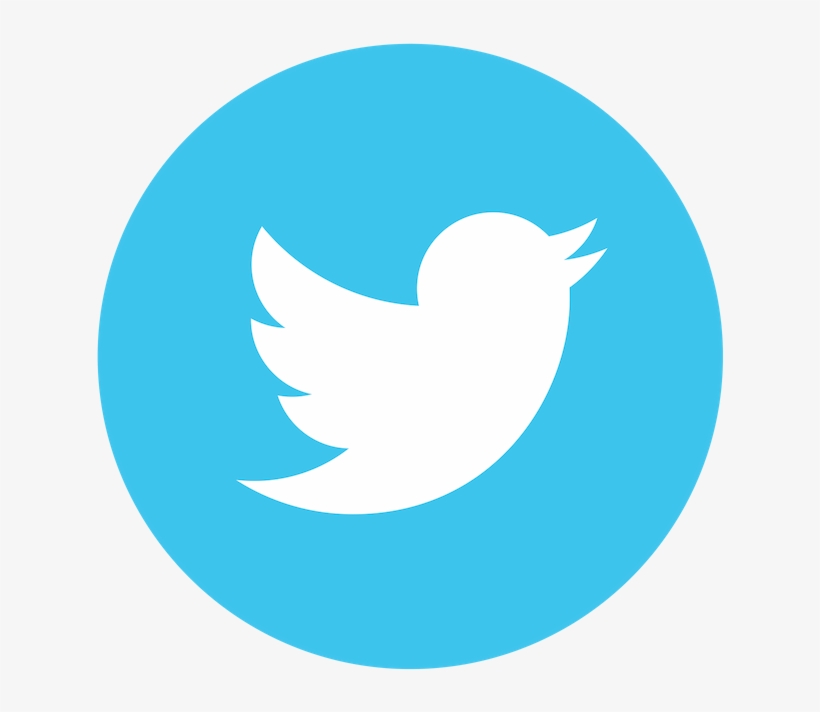 Ballotpedia Is Seeking 100 Percent Participation So, transparent png #7222604