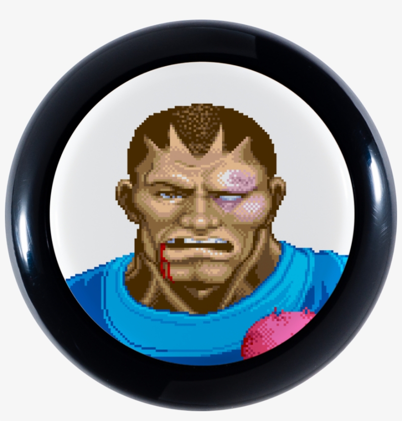 Super Street Fighter Ii Turbo Defeated Sanwa Denshi, transparent png #7223768