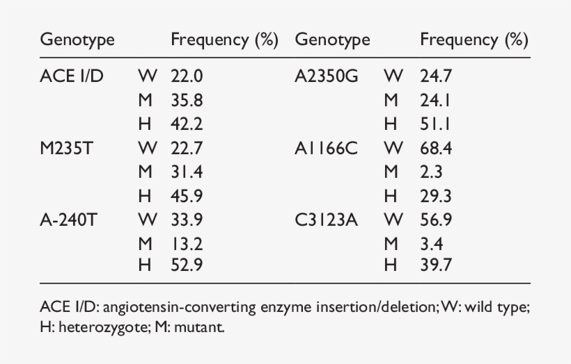 Genotype Distribution Of The Study Population, transparent png #7227084