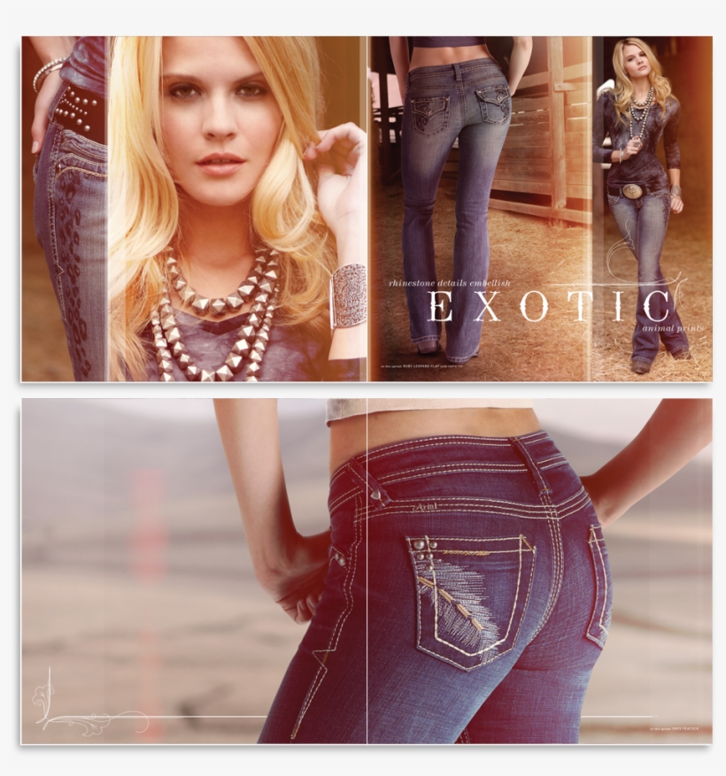 Have Placed Ariat Head To Head With Long-established, transparent png #7233050