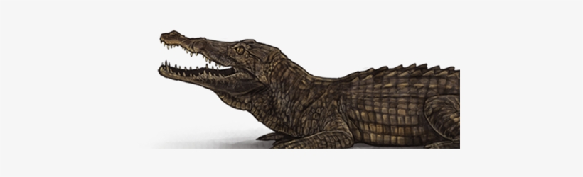 Pjsalt Png, transparent png #7233939
