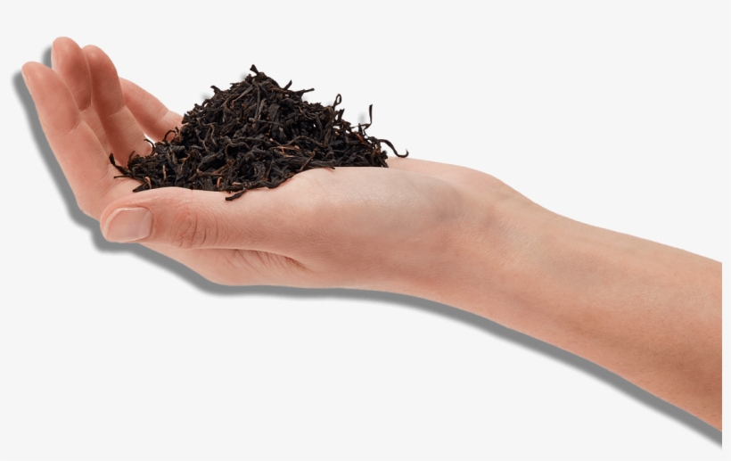 Hand, transparent png #7235635