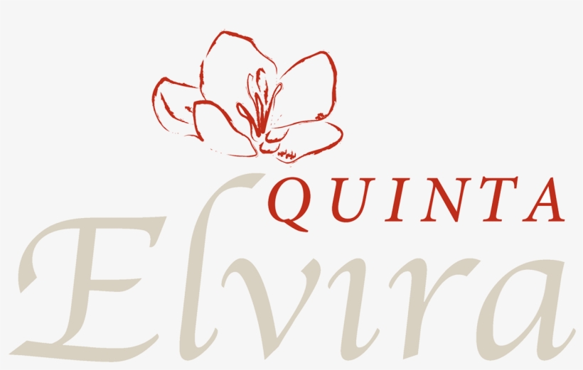 Hotel Boutique Quinta Elvira, Ubicado En Cuernavaca,, transparent png #7236584