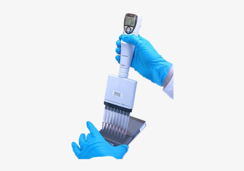 Organ On A Chip Workshop, transparent png #7239447