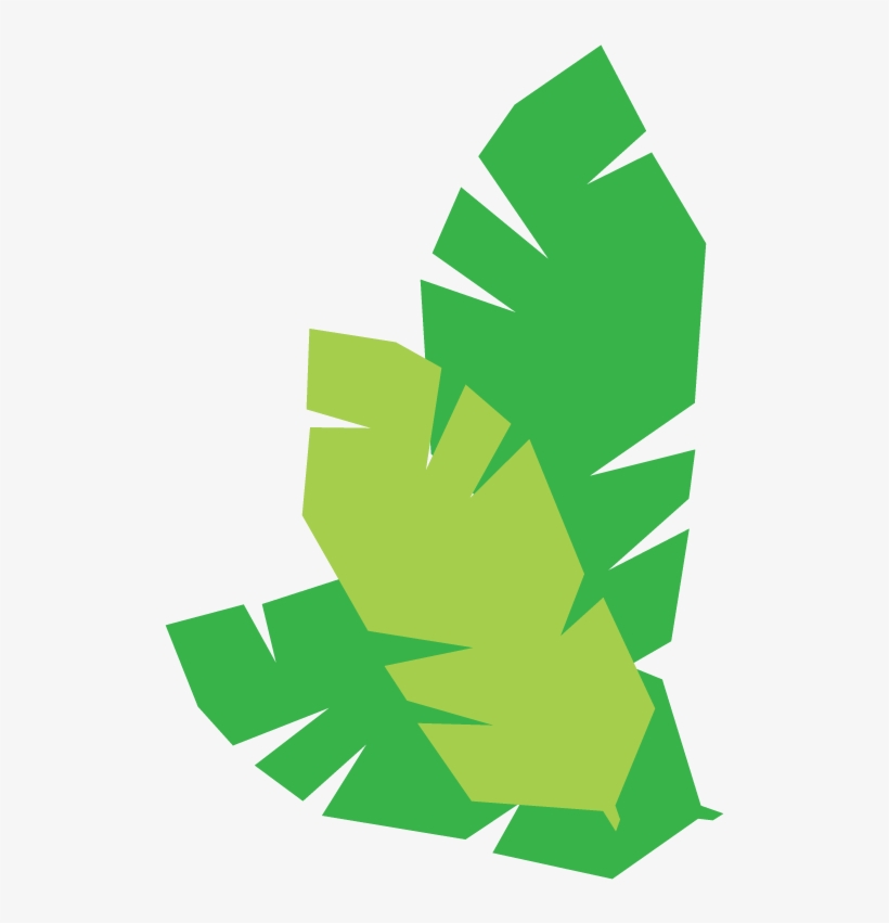 Leaf-cluster, transparent png #7240364