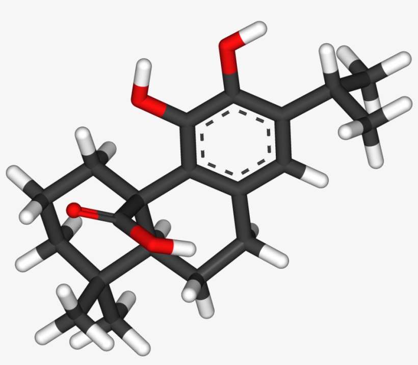 Carnosic Acid 3d Sticks, transparent png #7244072