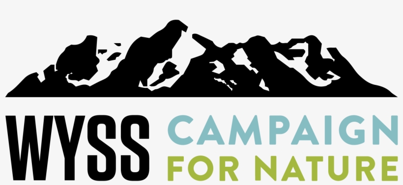 31, The Wyss Foundation Launched A $1 Billion Campaign, transparent png #7244951
