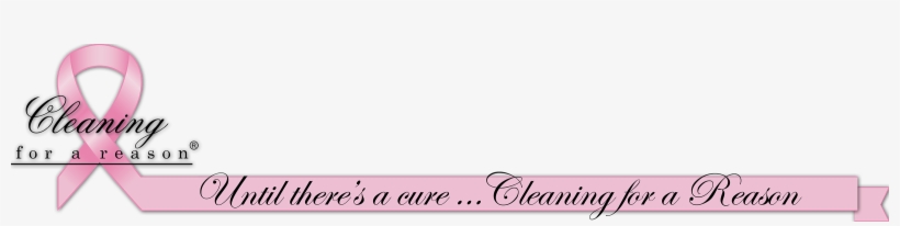 Cleaning For A Reason Non Profit Free House Cleaning, transparent png #7245039