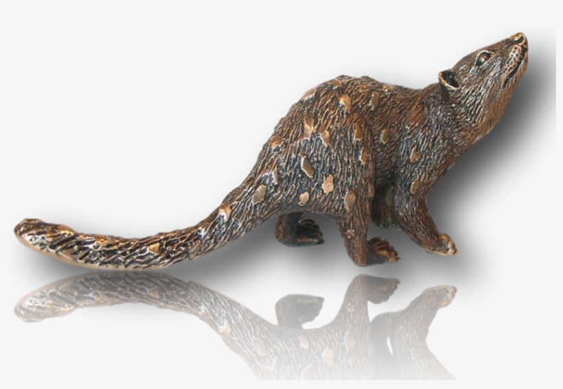 Small Eastern Spotted Quoll, transparent png #7245121