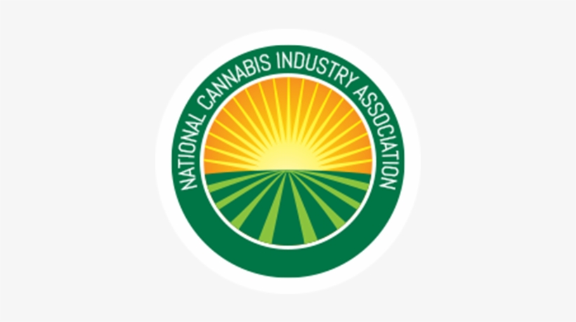 Subscribe Now, transparent png #7245726