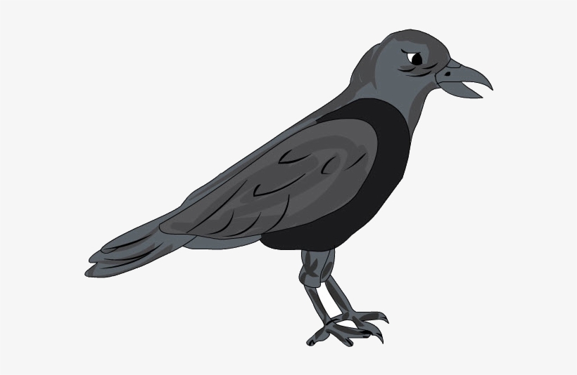 Cuervo, transparent png #7248697