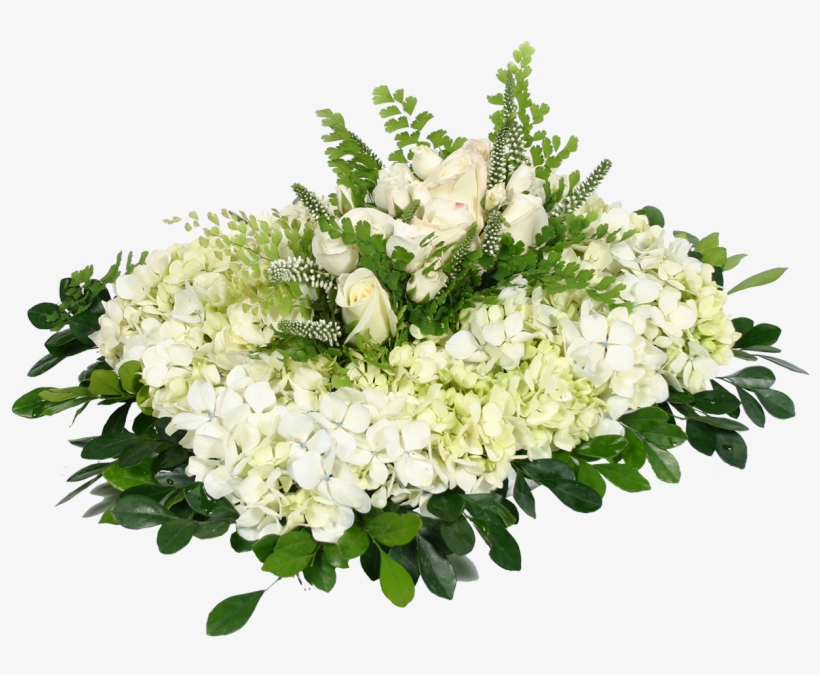 Almohadita, transparent png #7250354