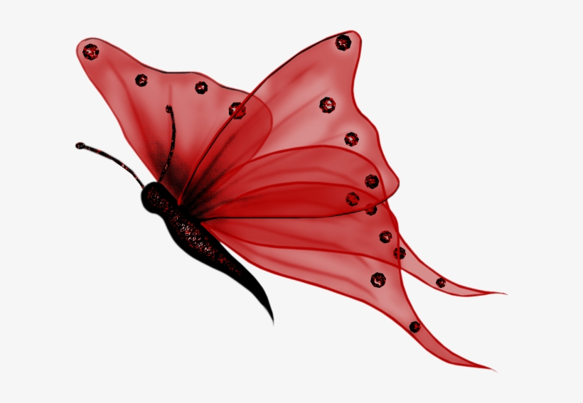 Photoscape Material, transparent png #7252415