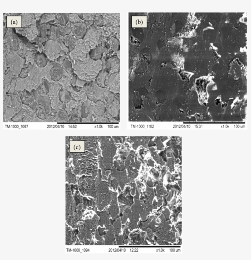 Worn Surface Of Ugpk At Glass Fibers Region Tested, transparent png #7253917